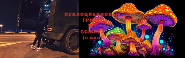 хмурый Алзамай