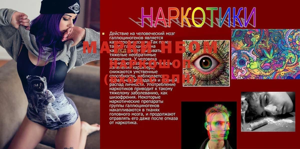 хмурый Алзамай