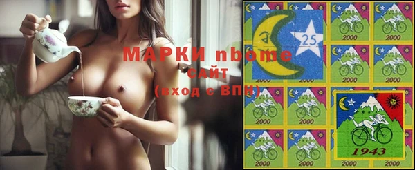 хмурый Алзамай