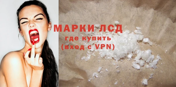 хмурый Алзамай