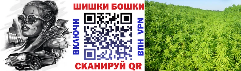 Конопля марихуана купить Поронайск